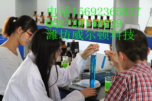 投资中小型汽车用品加工厂的关键管理与策略分析